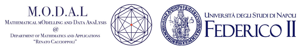 M.O.D.A.L. and University of Naples Federico II